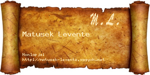 Matusek Levente névjegykártya