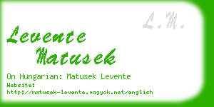 levente matusek business card